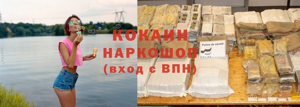 хмурый Алзамай