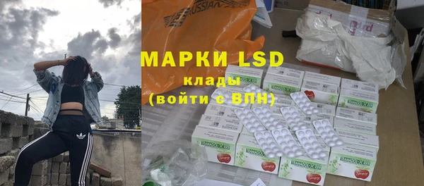 хмурый Алзамай