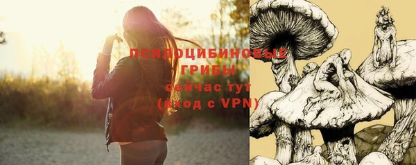 хмурый Алзамай