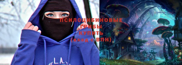 твердый Алексеевка