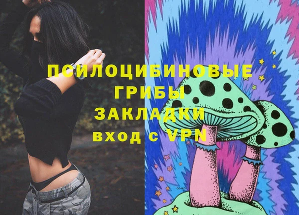 твердый Алексеевка