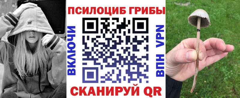 как найти   Махачкала  ОМГ ОМГ   Галлюциногенные грибы мицелий 